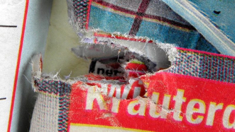 M&ouml;we durchbei&szlig;t 8 Seiten einer Zeitschrift und will Nudeln fressen