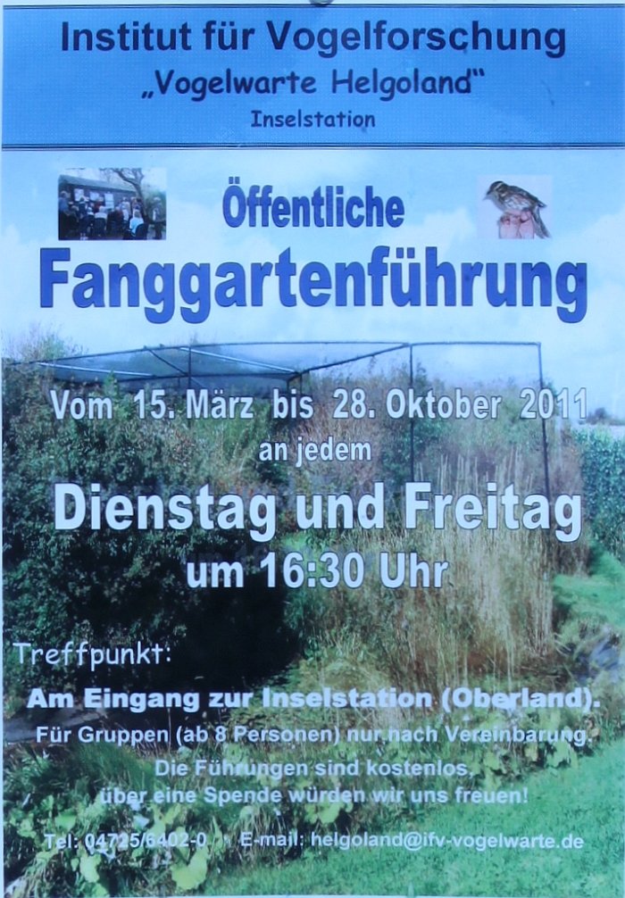 Vogelwarte Helgoland &Ouml;ffnungszeiten