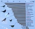 Klimawandel und Verhalten der Zugv&ouml;gel