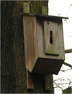 Hornissenkasten in Holzbetonbauweise im &Ouml;jendorfer Park in Hamburg