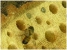 Nisthilfe f&uuml;r Insekten