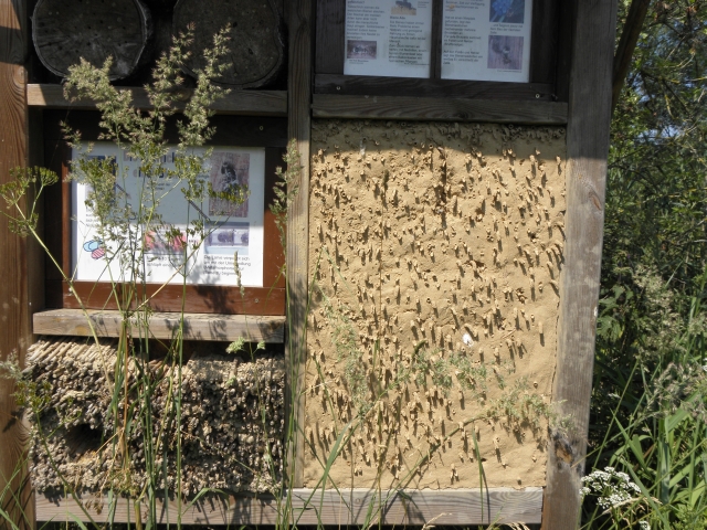 Insektenhaus in der Kita Tonndorfer Schulstra&szlig;e in Hamburg