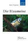 Kohlmeise