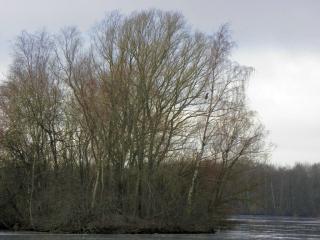 Insel im &Ouml;jendorfer See