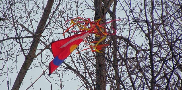 Gestrandeter Drachen im Baum am Oejendorfer See