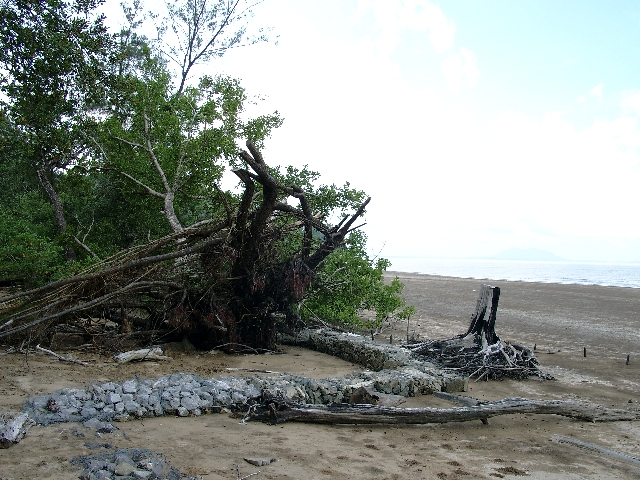 Nationalpark Bako auf Borneo, Strand am S&uuml;dchinesischen Meer