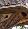 Fledermaskasten mit Blaumeisennest