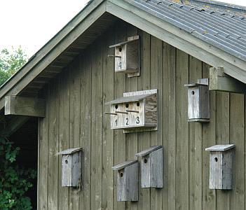 Nistk&auml;sten in D&auml;nemark