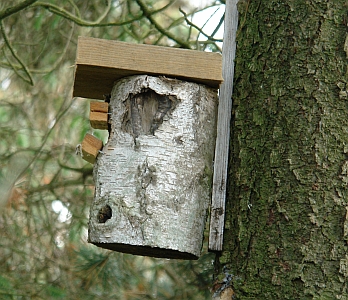 Nistkasten aus Birkenvollholz in D&auml;nemark