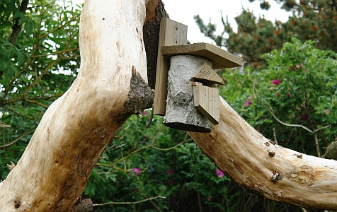 uriger Nistkasten in Tversted in D&auml;nemark