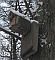 Fledermauskasten mit Schnee bedecktd