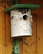 Nistkasten aus Birke Vollholz