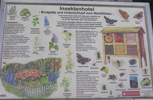 Hornissenkasten in Holzbetonbauweise im &Ouml;jendorfer Park in Hamburg