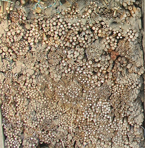 Hornissenkasten in Holzbetonbauweise im &Ouml;jendorfer Park in Hamburg