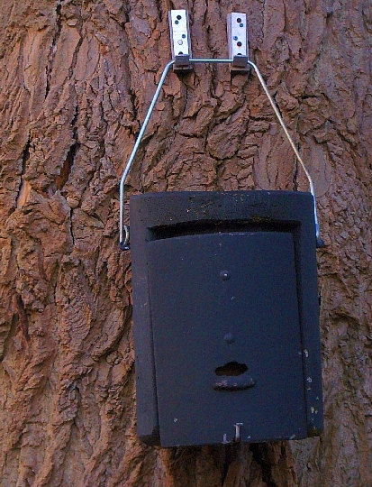 Hornissenkasten in Holzbetonbauweise im &Ouml;jendorfer Park in Hamburg
