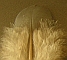 Federn des Uhu