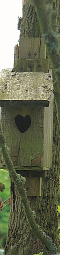 Nistkasten mit Herz in D&auml;nemark