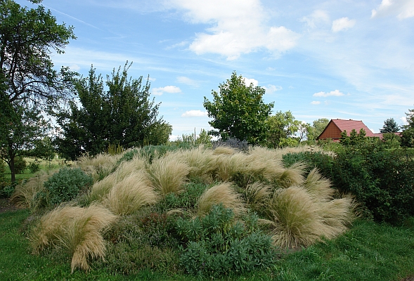 Pfarrgarten in Ribbeck im Havelland