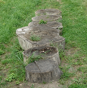 Altes Geb&auml;ude in Ribbeck im Havelland