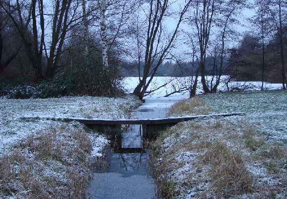 zugefrorener Jenfaelder Moosee in Hamburg