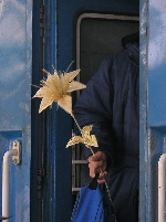 Eine goldene Blume