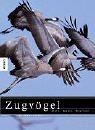 Zugvoegel