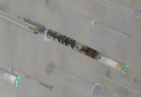 R&ouml;hrchen im Insektenhotel