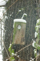 verwehter Nistkasten