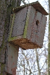 Uraltbau, aber beflogen!